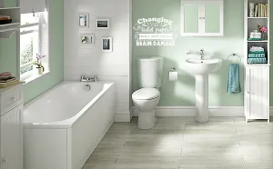 Bathroom Decal, Changing Toilet Paper Decal, Vinyl Decal