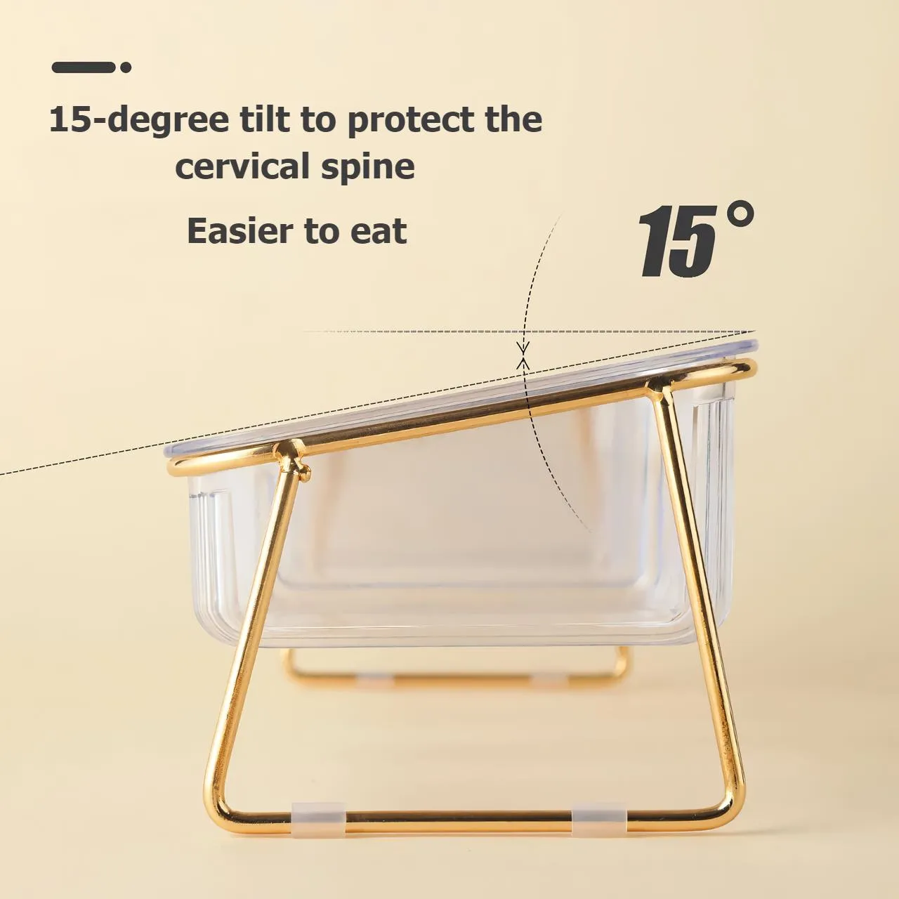 Elevated Double Pet Bowls for Dogs and Cats with Iron Stand, Anti-Skid & Tilted Design