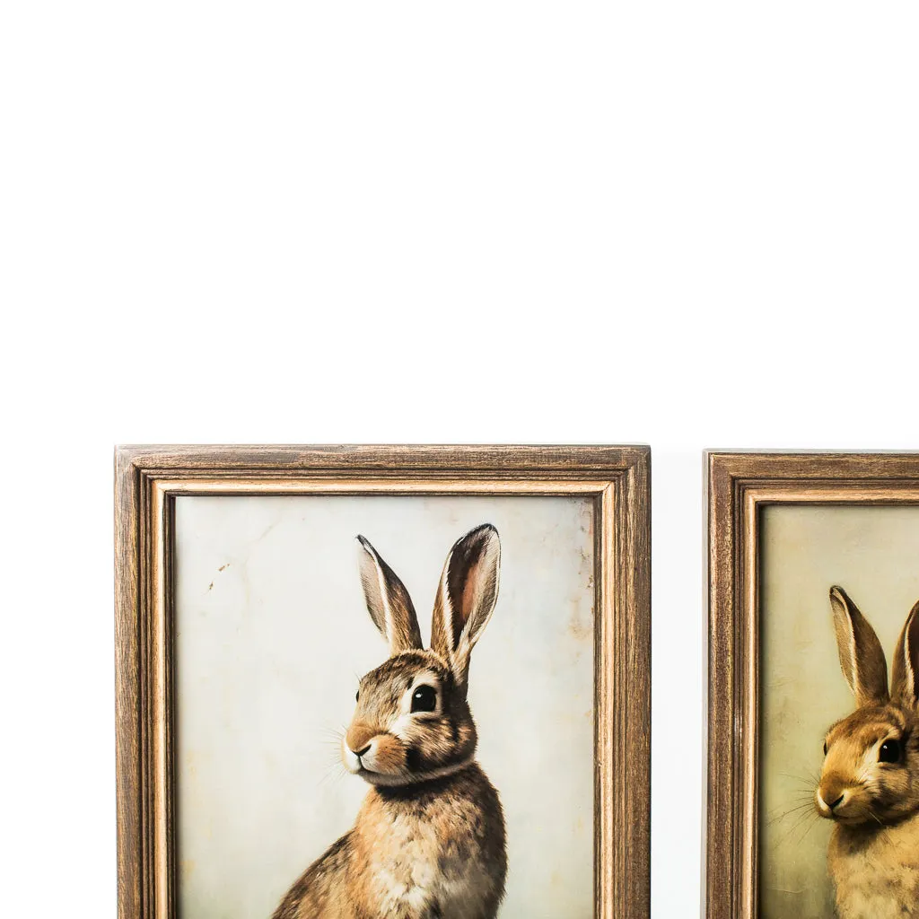 Framed Cotton Tale Art (2 Styles)
